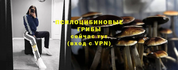первитин Володарск