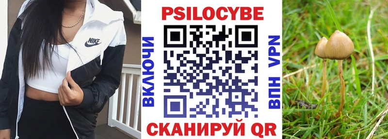 Псилоцибиновые грибы GOLDEN TEACHER  Каменка 