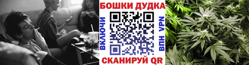 Бошки марихуана Ganja  наркота  Каменка 